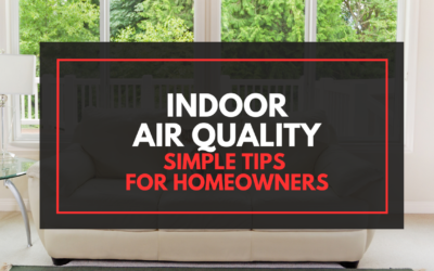 Indoor Air Quality: Why It Matters & How to Improve It