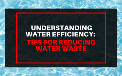 Understanding Water Efficiency: Tips for Reducing Water Usage